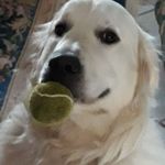 Bernard Kenneth Goodman - @bernardkennethgoodman - Instagram
