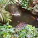 Berrnard Godwin - Facebook