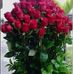 Bernard Gordon - Facebook