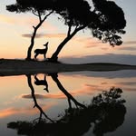 Bernard Graham - @grahamofwallst - Instagram