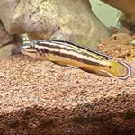 Bernard Gratz - @bernard.gratz.5494 - Instagram