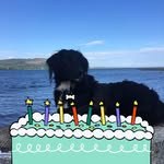 Bernard Gray - @bernard48gray - Instagram