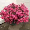 bernardhamelin5821 - @bernardhamelin5821 - TikTok