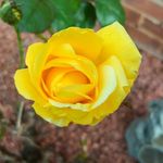 Bernard Hayward - @bernardhayward030160 - Instagram