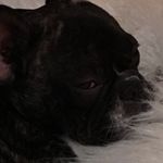 Bernard Peewee Herman - @bernstagram_101 - Instagram
