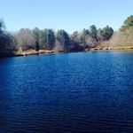 Bernard Howard - @bernard.howard - Instagram