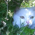 Bernard Hughes - @bernard.hughes.10 - Instagram