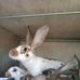 Bernard Jo - Facebook