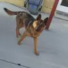 bernardjuarez83 - @bernardjuarez83 - TikTok