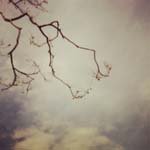 Bernard_Kang_ - @bernard_kang_y - Instagram