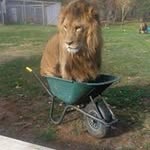 Bernard Karanja - @karanja30 - Instagram