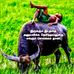 Bernard Kingsley - Facebook