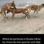 Bernard La Fleur - @bmekongo5 - Instagram