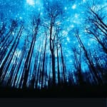 Bernard Lam - @lambenkun - Instagram
