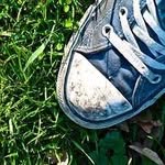 Bernard Lam - @lepetitpotager.lacrau - Instagram