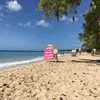 bernardlamaignere - @bernardlamaignere - TikTok