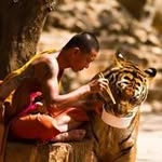 Bernard Laurent - @taoteking2 - Instagram