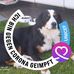 Bernhard Ludwig - Facebook