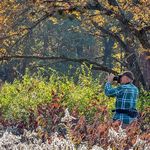 Bernard Lynch - @closerviews - Instagram