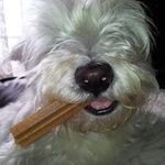 Bernard Lynch - @bernard.lynch.583 - Instagram