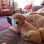 Bernard Lynch - @bernardlynch47 - Instagram