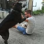 Melvin Bernard - @melvin.bernard.33 - Instagram