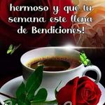 Bernard Mendez - @bernard.mendez.338 - Instagram