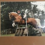 Bernard Michel - @bernard_retire - Instagram