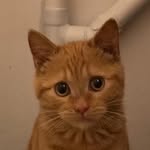 Bernard Le Minet - @bernard_le_minet - Instagram