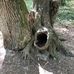 Bernard Miniou - Facebook