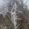 Bernard Minnock - @bernard.minnock - TikTok