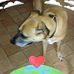 Bernard Millet - Facebook