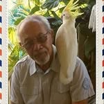 Bernard Mollet - @bernardmollet - Instagram