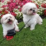 Bernard mooney - @bernardmooney74 - Instagram