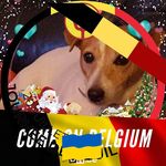 Bernard Motte - @bernard.motte.77 - Instagram