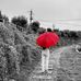 Bernard Mraz - Facebook