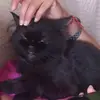 Bernard Muñoz - @bernard.muoz3 - TikTok
