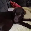 Bernard Murray - @bernard.murray57 - TikTok
