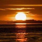 Tracy Vargas 335 - @bernardnewman_977357 - Instagram