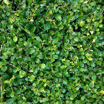 bernardngo - @berngo - Instagram