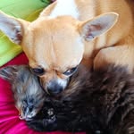 Bernard Noel - @versulycatchi - Instagram