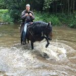Bernard Noel - @noel.bernard1309 - Instagram