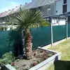 bernardpaternostre - @bernardpaternostre - TikTok