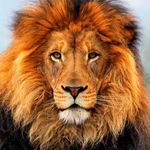 Bernard Quinn - @bernard.quinn.524 - Instagram