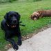 Bernard Rafferty - Facebook