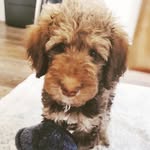 Ceasar Bernard Randolph - @lil_ceasars - Instagram