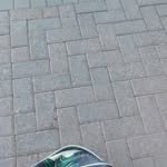 bernardreddy - @bernardref8 - Instagram