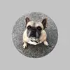 __Bernard.Reece__ - @__bernard.reece__ - TikTok