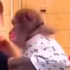 BernardReeseBEid - @bernardreesebeid - TikTok