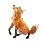 Bernard le Renard - @bernard.le.renaard - Instagram
